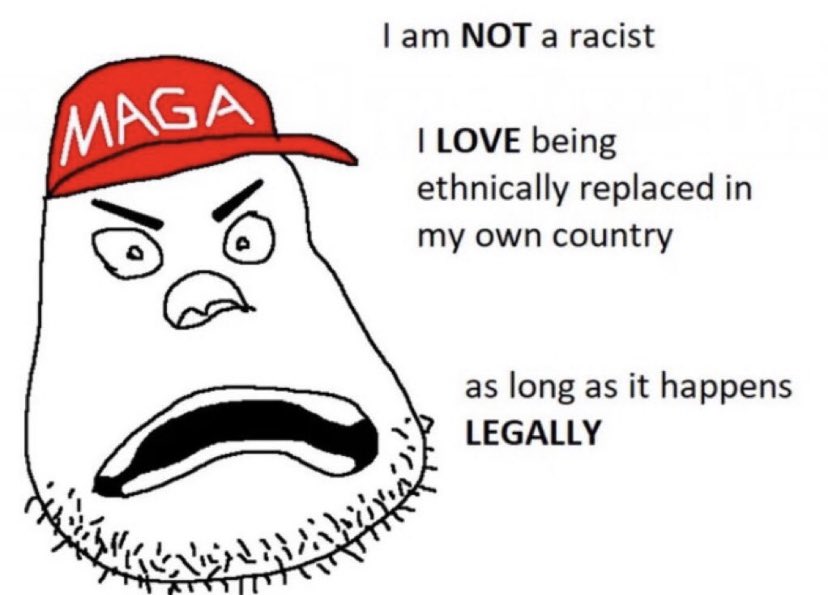 lam_not_racist_love_being_ethnically_replaced_own_country_long.jpg