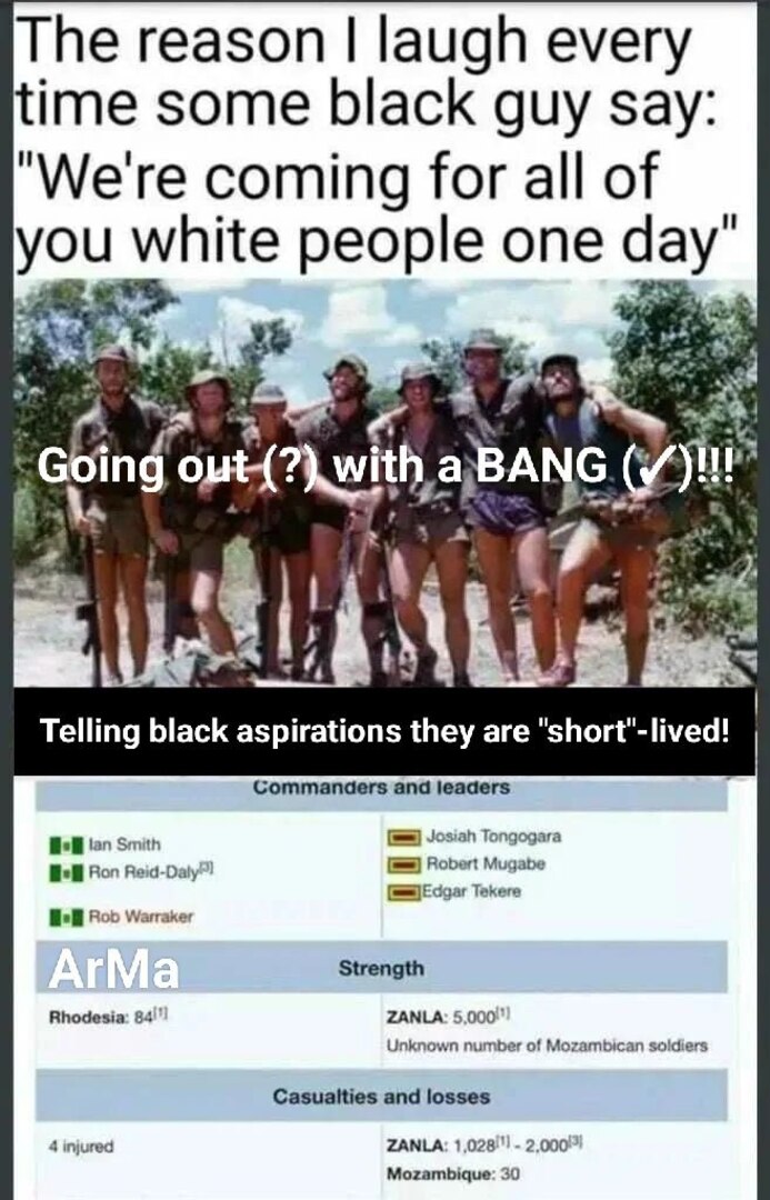 meme__11_.jpg